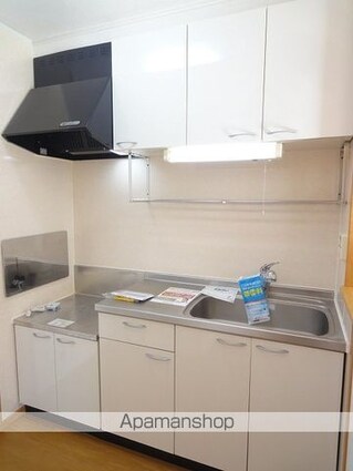 プラシードフィルⅢ[2LDK/57.22m2]のキッチン