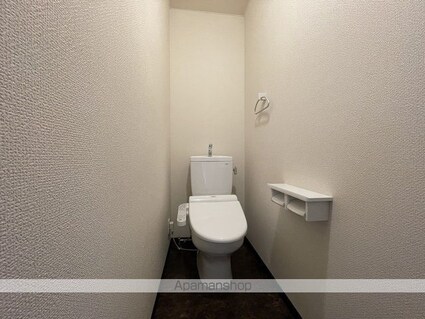 アルテマイスターカサミラ[1LDK/56.86m2]のトイレ