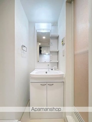 スカイコートリュクス品川大崎[1LDK/30.7m2]の洗面所