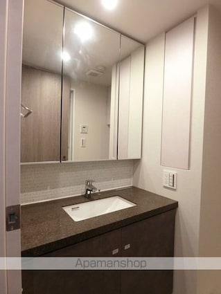 ザ・パークハビオ高円寺レジデンス[1LDK/40.63m2]の洗面所