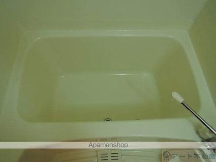 グレイスフル立花[2DK/43.74m2]の洗面所