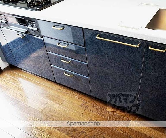 ルイシャトレ二条城の内装写真