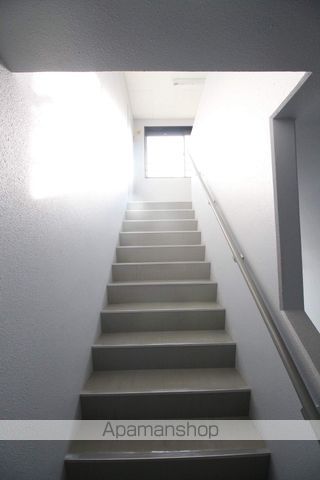 シャムロックのその他写真