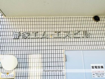 番衆エムエスビル[1R/22.72m2]の外観5
