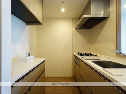 ザ・パークハビオ名古屋松原[1LDK/43.36m2]のキッチン