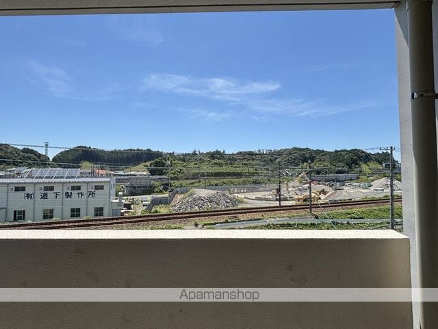 エバーグリーンのその他写真