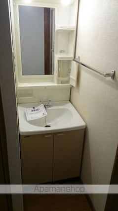 グリーン・リーフ軽井沢[2DK/46.06m2]の洗面所