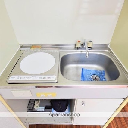 ヴィレッヂストン分梅[1R/15.68m2]の玄関