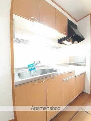 コーストアヴェニューＡ[2DK/42.77m2]のキッチン