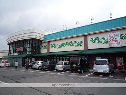 メゾン・ド・アルテミシア　Ｂ棟[2DK/46.37m2]の周辺