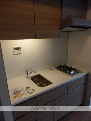 パークアクシス東陽町・親水公園[1LDK/38.75m2]のキッチン