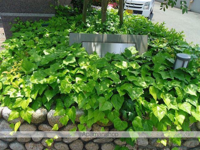 ハニーエストゥディオのその他写真