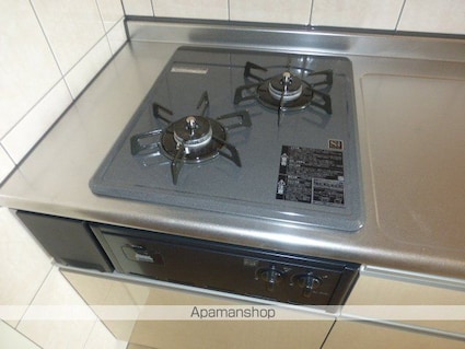 滋賀県近江八幡市白鳥町[1K/30.74m2]の内装3