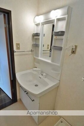 岡山県倉敷市大島[2DK/43.8m2]の洗面所