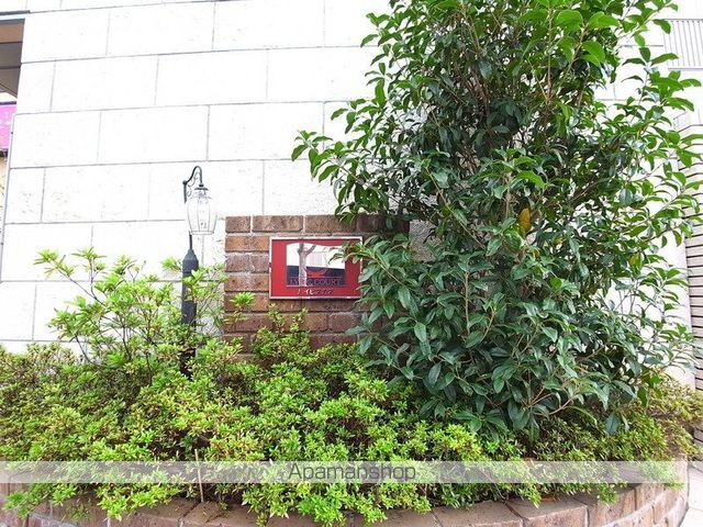 リリックコートハイビスカスの玄関写真