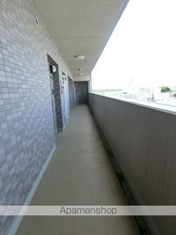 セレーノ.Mのその他写真