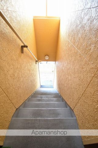 バルーンフラワーのその他写真