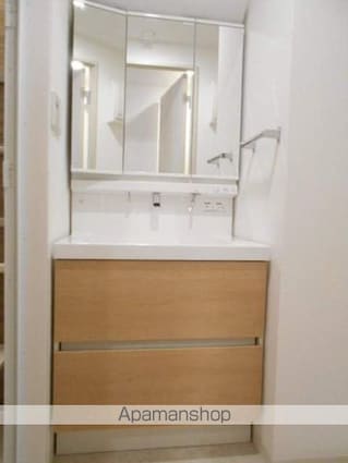 プレミアータ　ルーチェ[1K/27.03m2]の洗面所