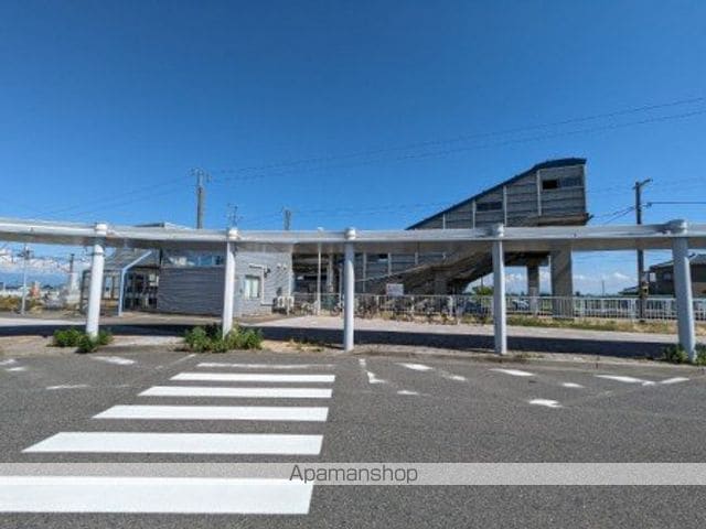 サンセベリアの周辺写真