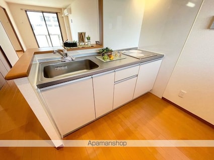 ビラ・レークサイド[1LDK/53m2]のキッチン