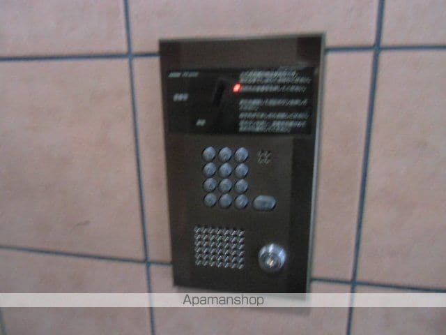 アイン橘のその他写真