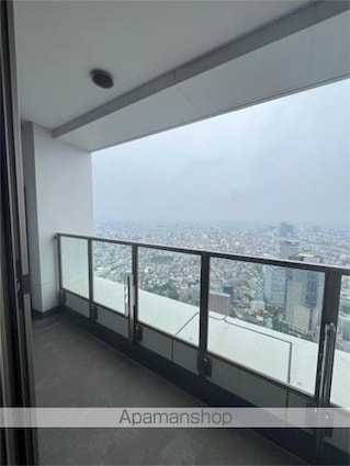 東京都新宿区西新宿５丁目[1LDK/71.84m2]のバルコニー