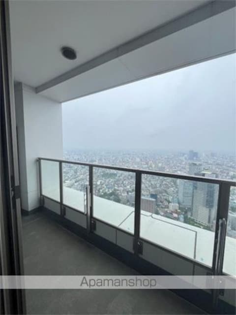 東京都新宿区西新宿５丁目[1LDK/71.84m2]のバルコニー