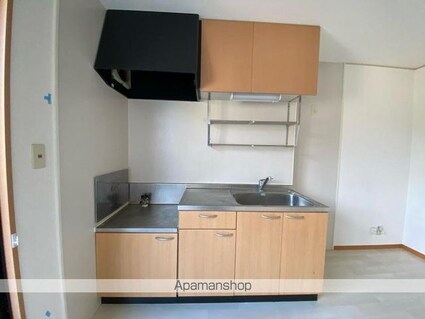 一本木ハイム　Ｅ棟[2DK/48.79m2]のキッチン