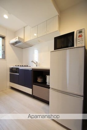 ロイジェントパークス四ツ谷[1R/28.2m2]のキッチン