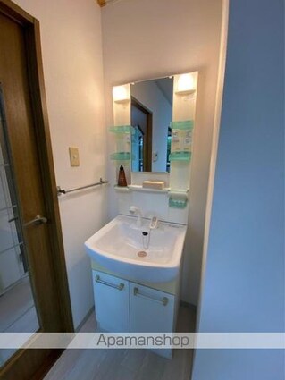 チェリータウン川東Ａ・Ｂ棟[2DK/45.34m2]の洗面所