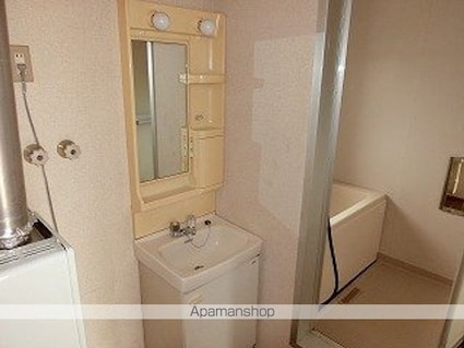 シティハイムカモミールＡ[3K/51.89m2]の洗面所