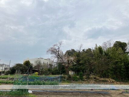 イーストリバー[1K/29.75m2]の眺望