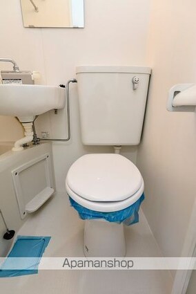 リプロンビギン三軒茶屋Ⅱ[1R/10.26m2]のトイレ