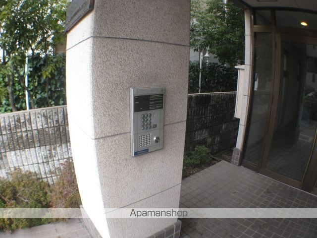 ウィステリアクレハのその他写真