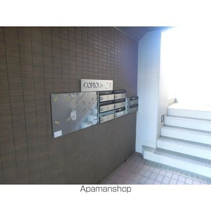 コーピアス・エスⅡ[3LDK/66.5m2]のエントランス2