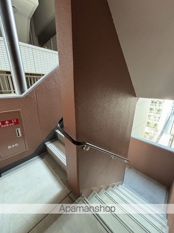 PREGIOUMEDAのその他写真