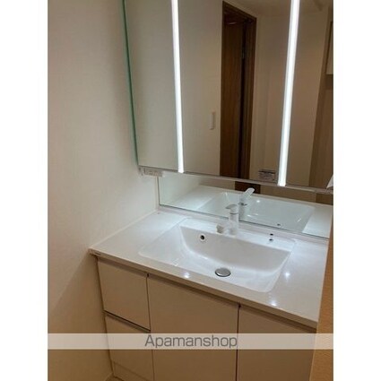 セザールアクアフロント勝どきウエスト[1SLDK/55.19m2]のその他内装6