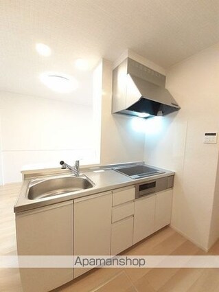 セレノ　マーレⅡ[2LDK/56.48m2]のキッチン