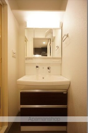 セイワパレス丸の内駅前[1LDK/60.59m2]の洗面所