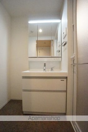 カメリア丸の内「マルノウチ」[1LDK/41.86m2]の洗面所