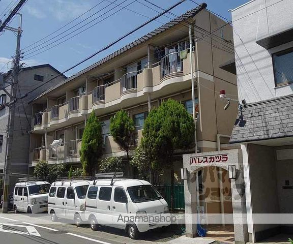 パレスカツラ