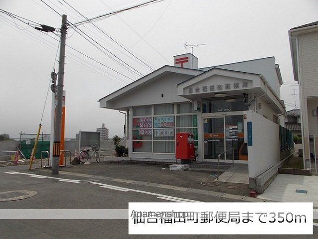 ドラゴン フラワーの周辺写真