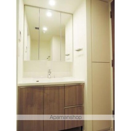 パークシティ柏の葉キャンパス　ザ・ゲートタワー　ウエスト[1LDK/47.52m2]の洗面所