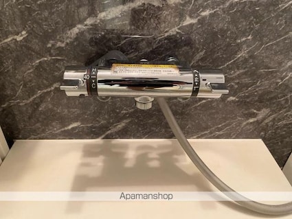 レグルス　Ｂ棟[1LDK/50.44m2]の内装3