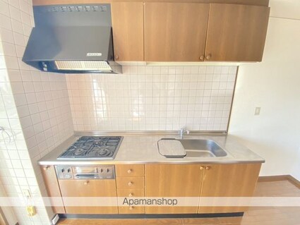 サンステージⅡ[2DK/53.66m2]のキッチン