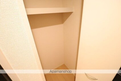 ルーチェ丸山[1LDK/49.5m2]の収納3