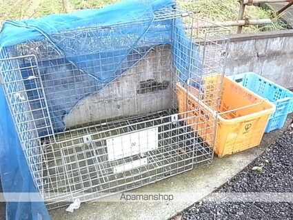 クオリティレジデンスⅡ[2LDK/63.64m2]の共用部3