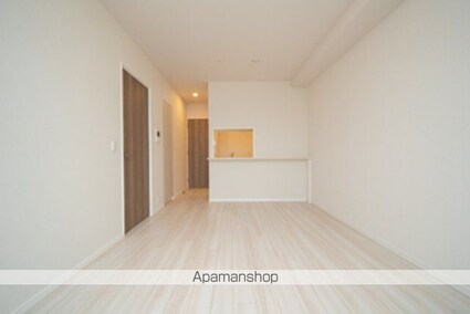 ルミレイス豊洲[1LDK/46.37m2]のその他内装