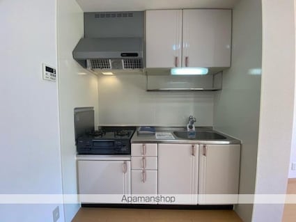 フォンターナ伏石Ａ・Ｂ棟[1LDK/33.39m2]のキッチン