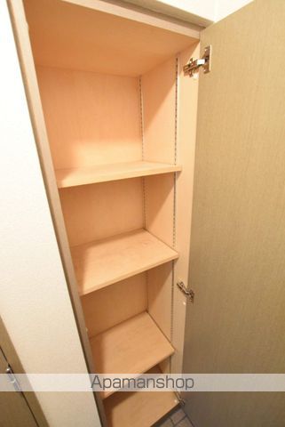 SOUTHERN CROSS 313の内装写真